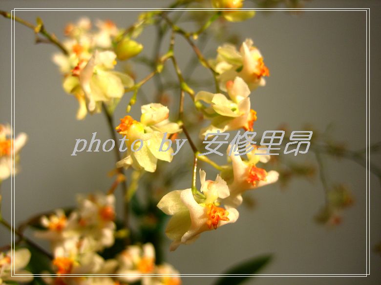 tu 059.jpg